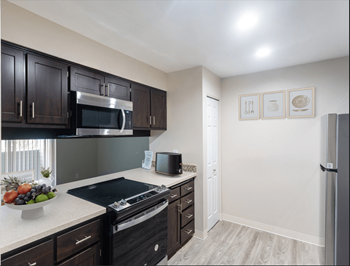 Stainless-steel appliances*
